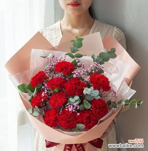 用红色满天星传递快乐的情感 红色满天星花语,传递爱与希望