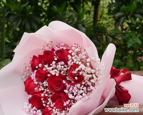 用红色满天星传递快乐的情感 红色满天星花语,传递爱与希望