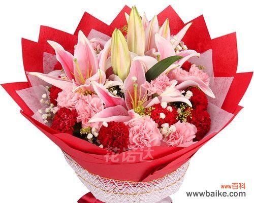 探索康乃馨不同颜色的花语 康乃馨的花语之色彩缤纷的意义