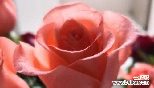 遇见久别的你 《相逢恨晚》