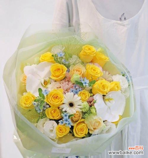 黄玫瑰的情感表达与心意传递 黄玫瑰花的含义与象征