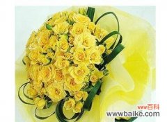 唯美而多样的黄玫瑰 黄玫瑰的寓意与象征意义