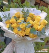 探究黄玫瑰的吉祥之意与象征 黄玫瑰的花语与寓意