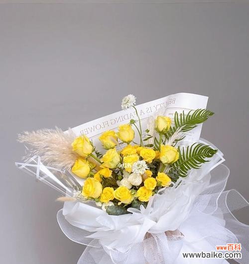 美丽独特的黄玫瑰 黄玫瑰的象征意义与传说