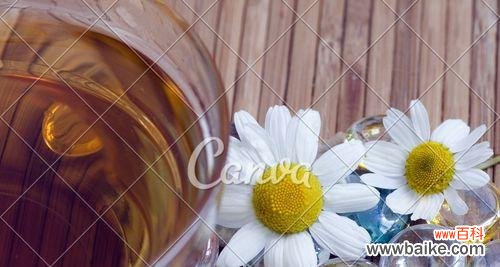 黄色雏菊的花语和寓意