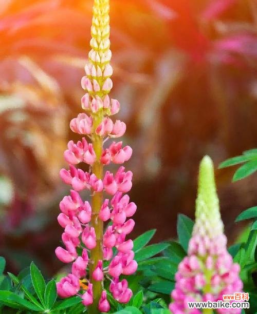 当我们以为一切都逝去 失而复得