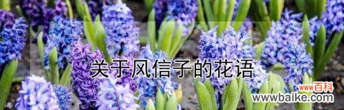 绽放人生的希望之花 咏樱花,新的开始