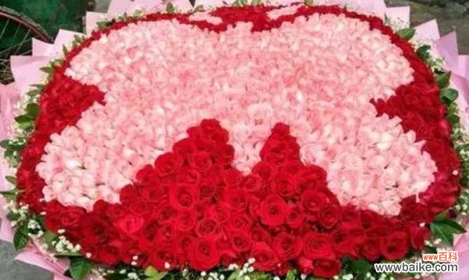 用花语诠释爱情的九十九朵玫瑰之美 九十九朵玫瑰