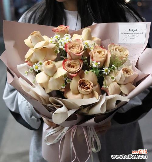 浪漫 卡布奇诺玫瑰花语的美丽寓意