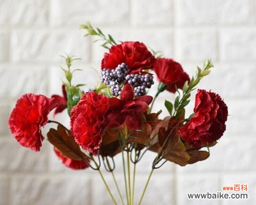 以康乃馨多少朵的寓意 康乃馨花语之寓意