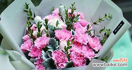 以康乃馨多少朵的寓意 康乃馨花语之寓意