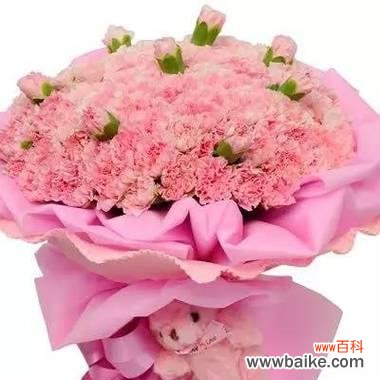 探索康乃馨各色花语 康乃馨花语之意义与表达