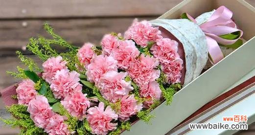 探索康乃馨各色花语 康乃馨花语之意义与表达