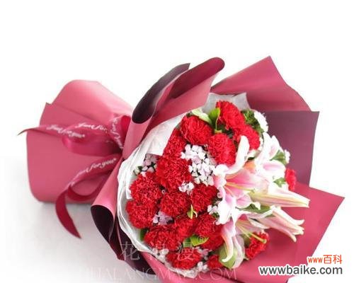 传递爱情和感激之情的鲜花——康乃馨的美丽与意义 康乃馨花的象征意义及传统应用