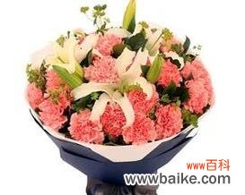 探索康乃馨花束的浪漫内涵 康乃馨花束的深刻寓意