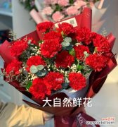 探寻康乃馨花语的深层含义 康乃馨花语之美——每朵康乃馨代表的寓意