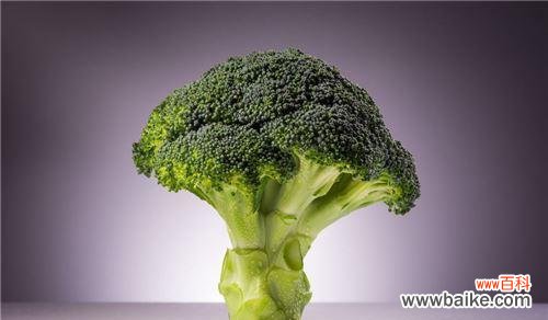 揭秘以西兰花的含义和象征意义 以西兰花的花语探秘