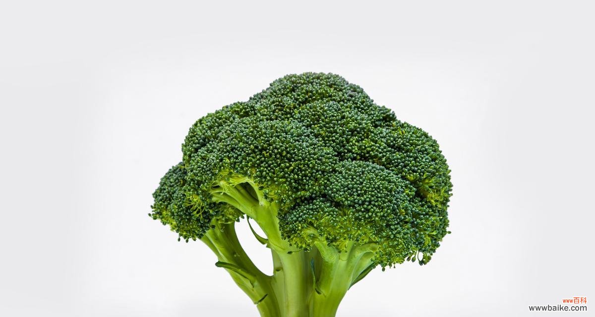 揭秘以西兰花的含义和象征意义 以西兰花的花语探秘