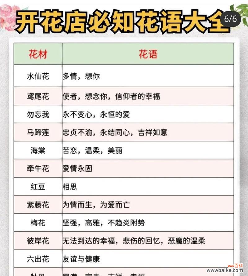 芦荟花语的意义与传承 芦荟花语