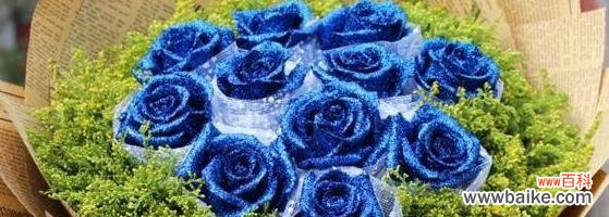 蓝玫瑰的五彩斑斓世界 以蓝玫瑰的花语和寓意——诠释真爱与神秘