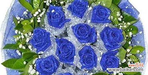 以蓝玫瑰花语传递无尽的温柔和希望 探寻蓝玫瑰的神秘花语