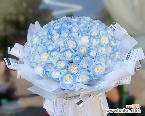 揭秘蓝玫瑰花的隐含信息 以蓝玫瑰花代表的情感与含义