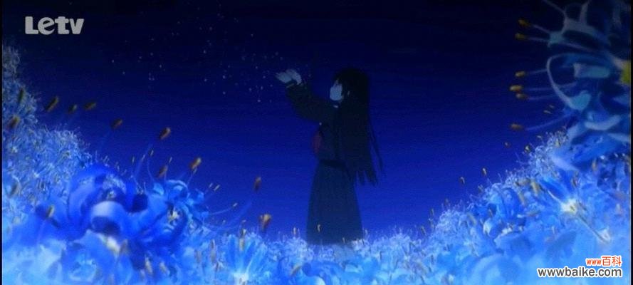 蓝色彼岸花 以蓝色彼岸花花语探索内心深处的思考