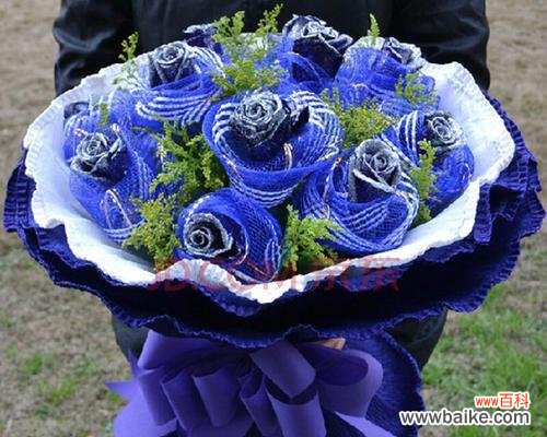 崭新的视角 以蓝玫瑰之色彰显不拘一格的美丽