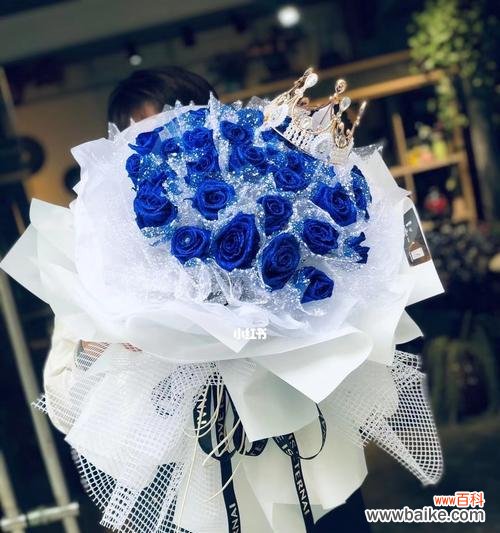 探寻蓝色玫瑰的神秘魅力及背后的寓意 蓝色玫瑰的花语与象征