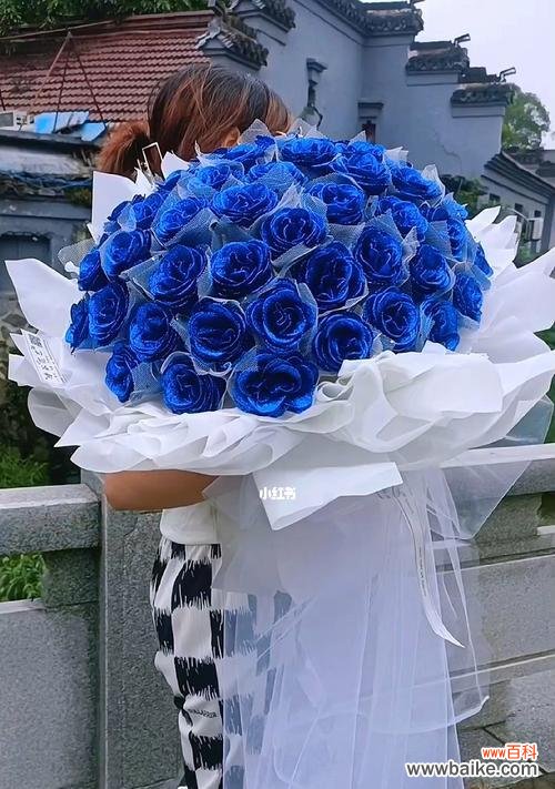 探寻蓝色玫瑰的神秘魅力及背后的寓意 蓝色玫瑰的花语与象征