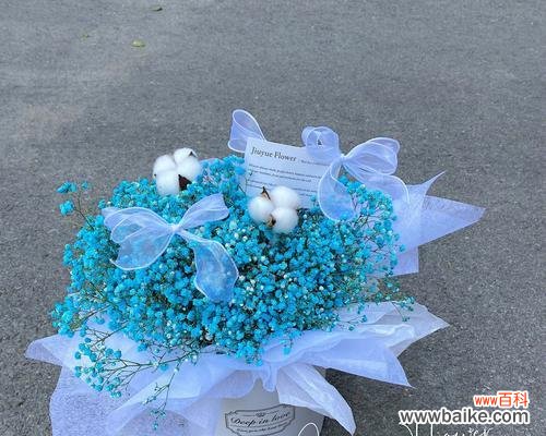 星空中的无尽宁静与希望 蓝色满天星的象征意义