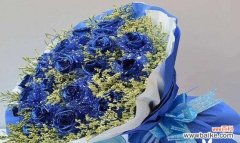 以蓝色妖姬揭示的人类情感与欲望 蓝色妖姬