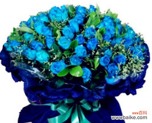 寂寞与自由的蓝色诠释 解读一朵蓝色妖姬的寓意