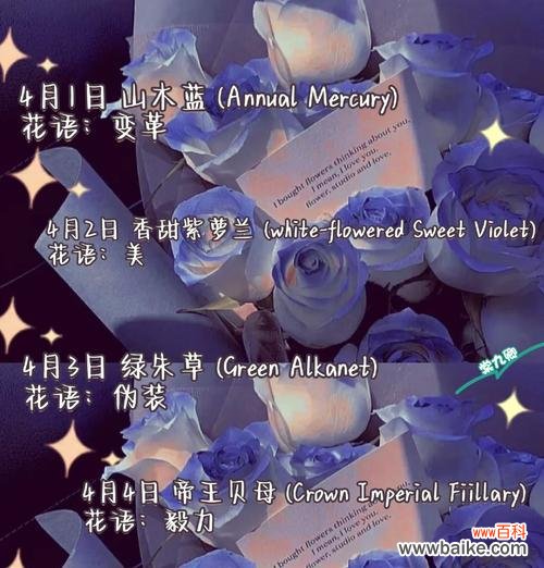 唤醒心灵的花朵，揭示生命的真谛 高雪轮的花语