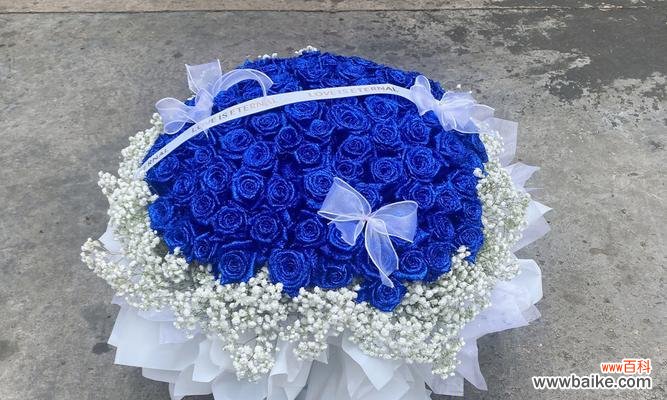 探索蓝色妖姬的神秘花语世界 蓝色妖姬的花语之美