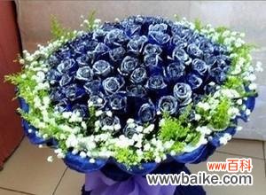 探寻蓝色妖姬玫瑰花的神秘象征意义 蓝色妖姬玫瑰花的深意