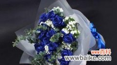 探寻蓝色妖姬玫瑰花的神秘象征意义 蓝色妖姬玫瑰花的深意