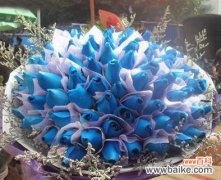 探寻蓝色妖姬的诞生之谜 蓝色妖姬