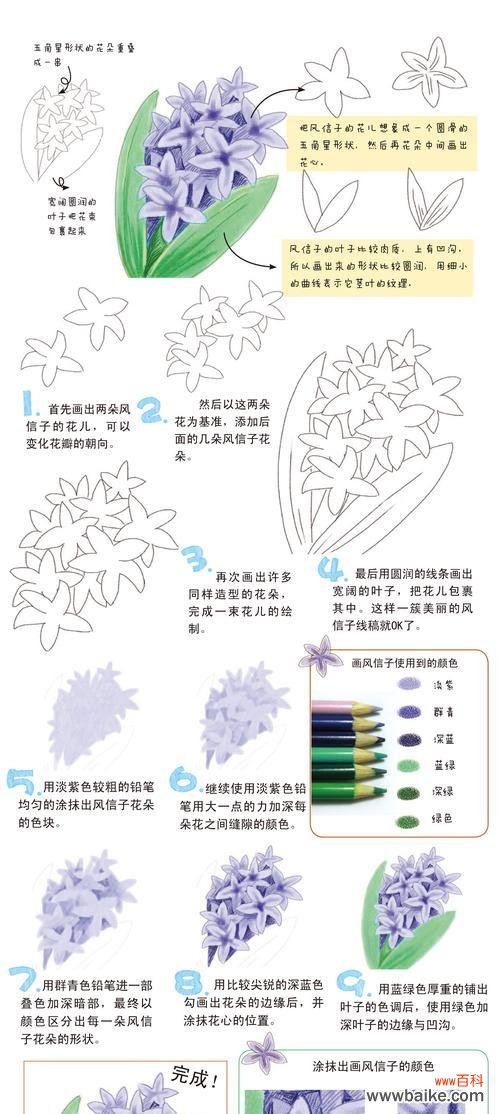 紫红色风信子传递着温暖的祝福 紫红色风信子的花语——祝福和热情