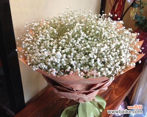 满天星代表的意义与寓意 满天星,那份纯真与美丽