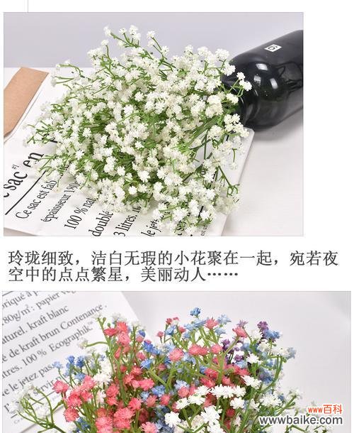 探寻满天星的神秘与美丽 满天星的花语和象征意义