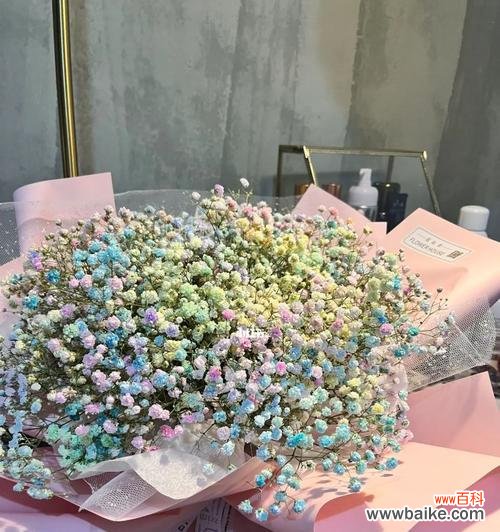 探秘满天星花的花语与传说 满天星花