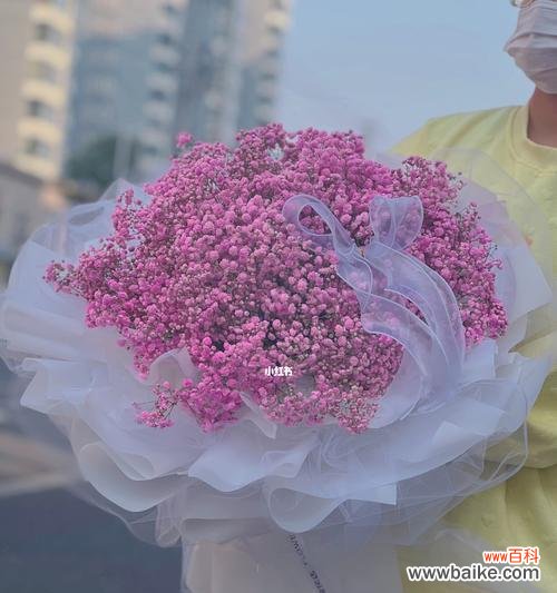 探秘满天星花的花语与传说 满天星花