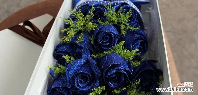 揭开蓝色妖姬的象征与传说之谜 探寻蓝色妖姬的神秘意义