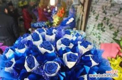 揭秘蓝色妖姬玫瑰花的内涵与象征 蓝色妖姬玫瑰花的花语