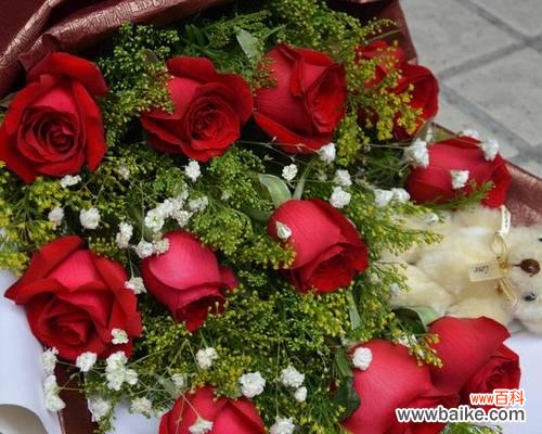 探寻玫瑰背后的意义与魅力 两朵玫瑰之情