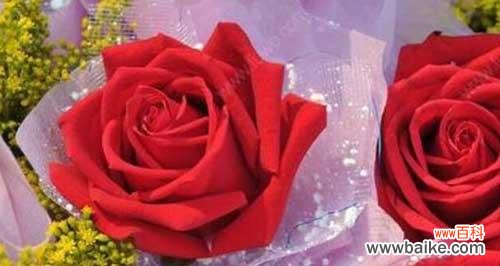 用六朵玫瑰解读爱情 六朵玫瑰的象征意义