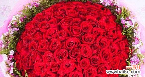 用六朵玫瑰解读爱情 六朵玫瑰的象征意义