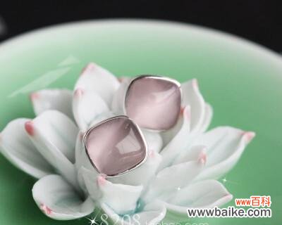 探索洛丽玛丝玫瑰的浪漫花语与内涵 洛丽玛丝玫瑰的花语与美好寓意