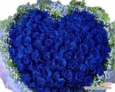 探寻绿玫瑰的花语及其象征意义 绿玫瑰的花语及其美丽意涵